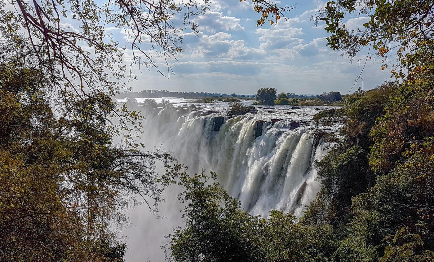 Livingstone safaris