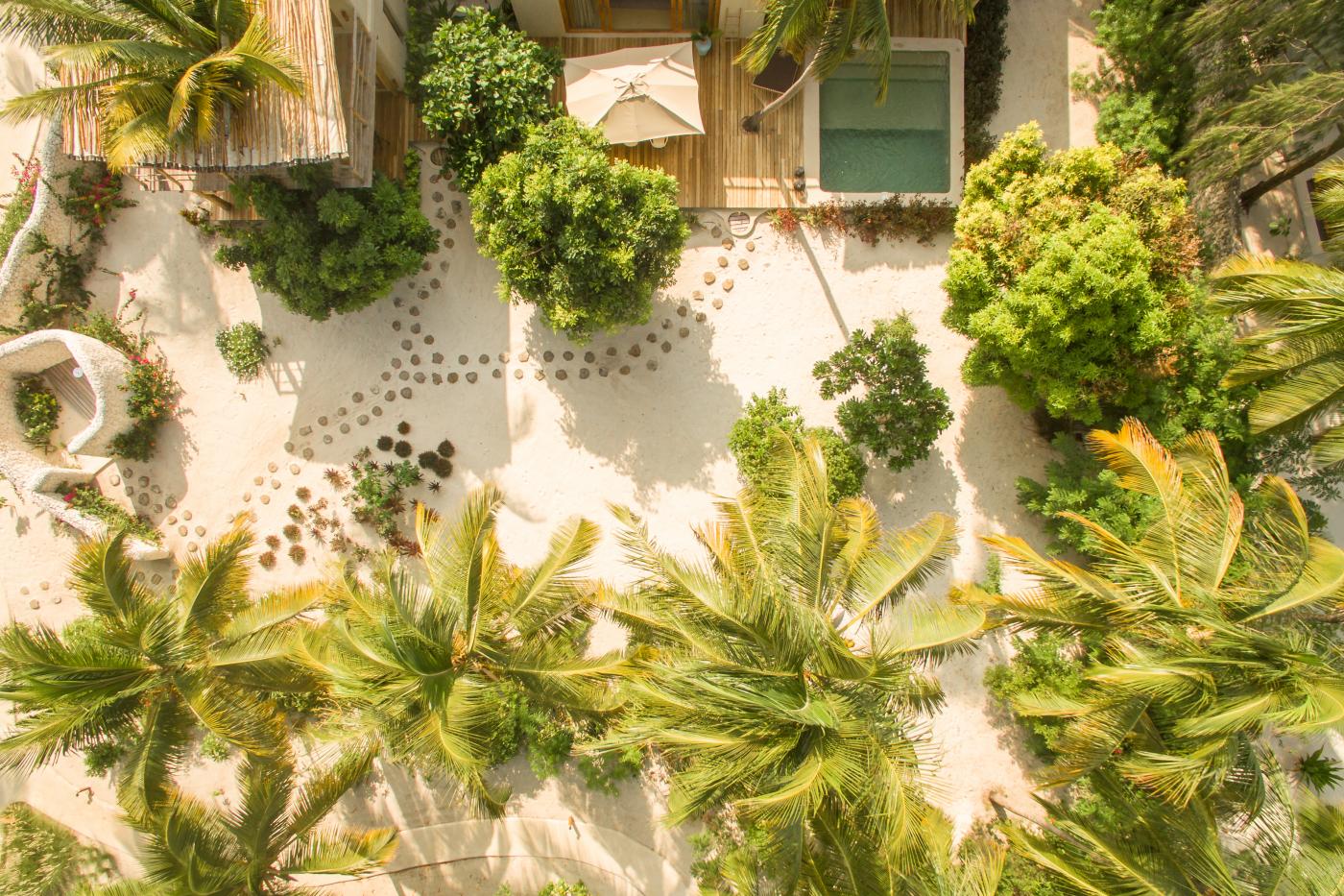Zanzibar  safaris