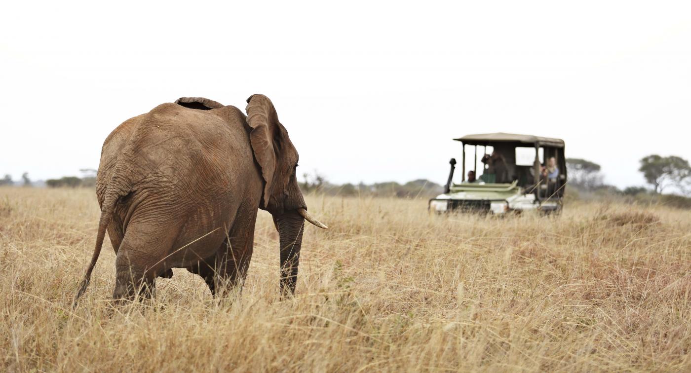 Tarangire National Park safaris