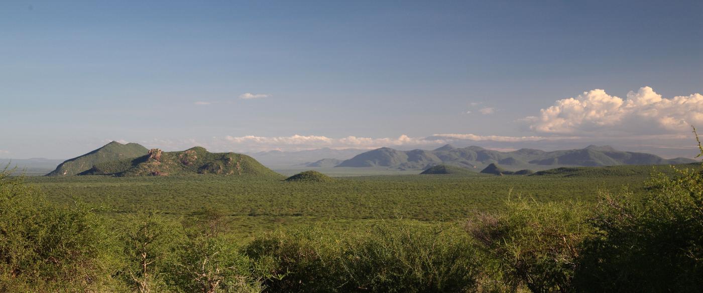Samburu  safaris