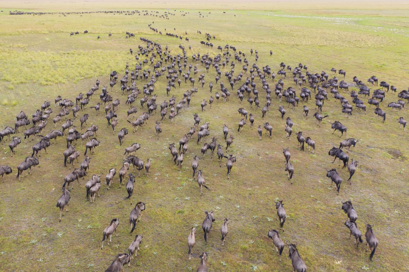 Liuwa Plains National Park safaris