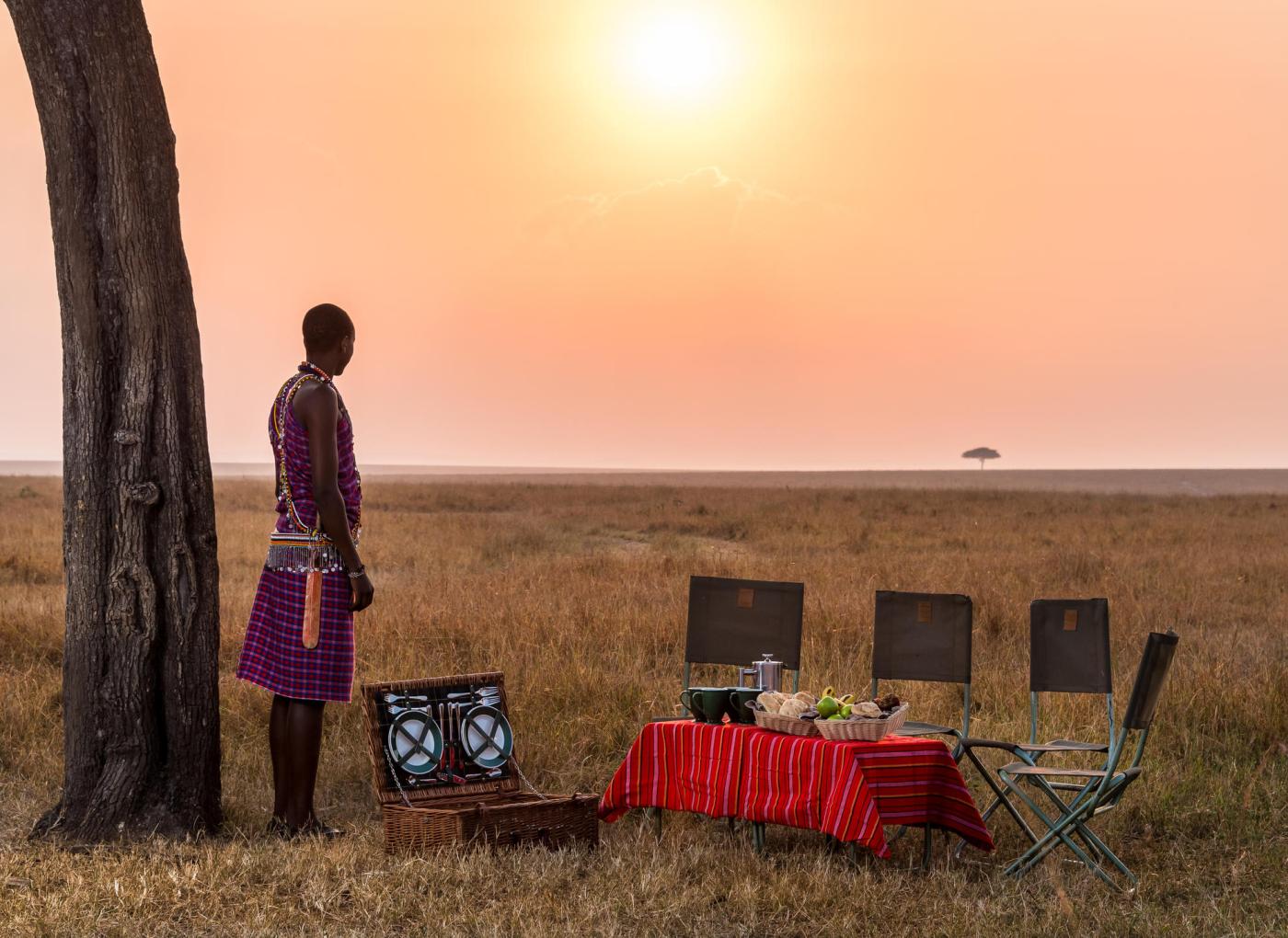 Kenya safaris