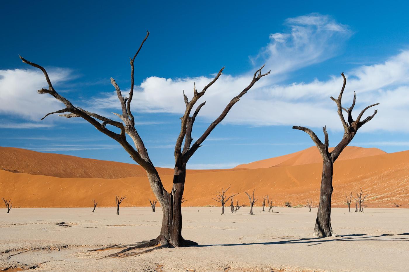 Namibia safaris