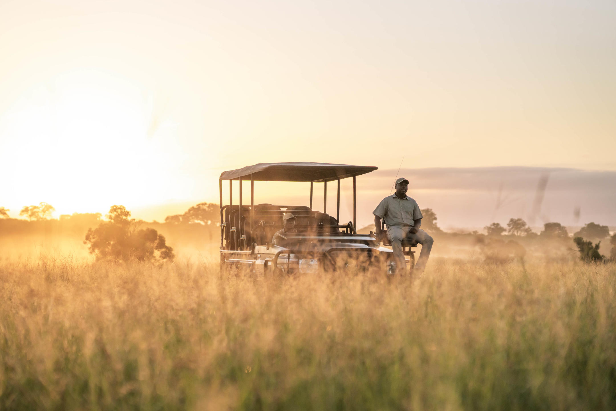 How Much Does a South Africa Safari Cost?