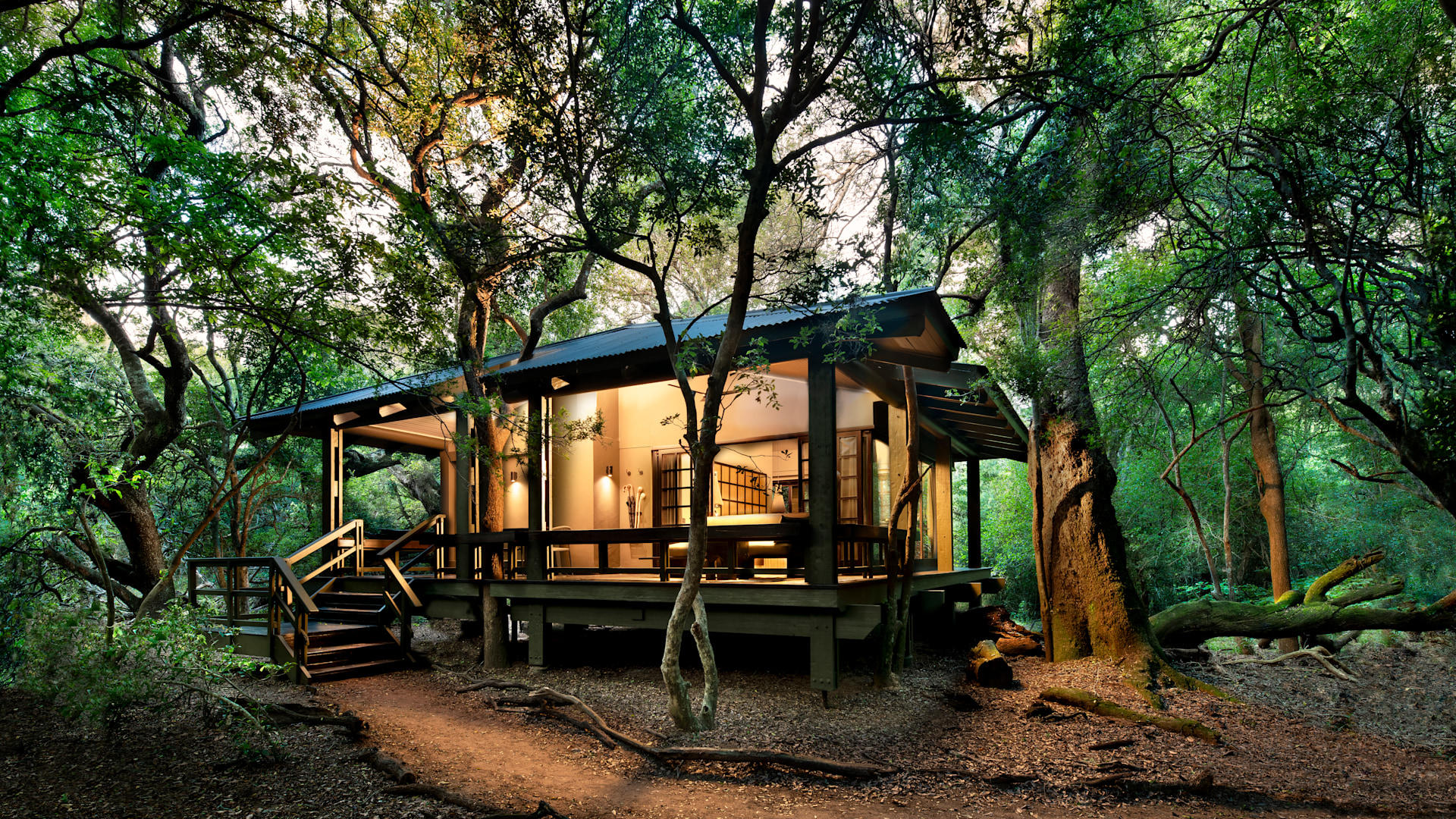 andBeyond Phinda Forest Lodge