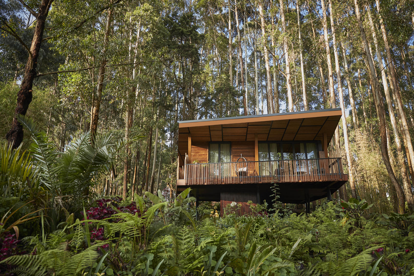 How Much Does Gorilla Trekking Cost? Rwanda vs Uganda (Luxury Guide)