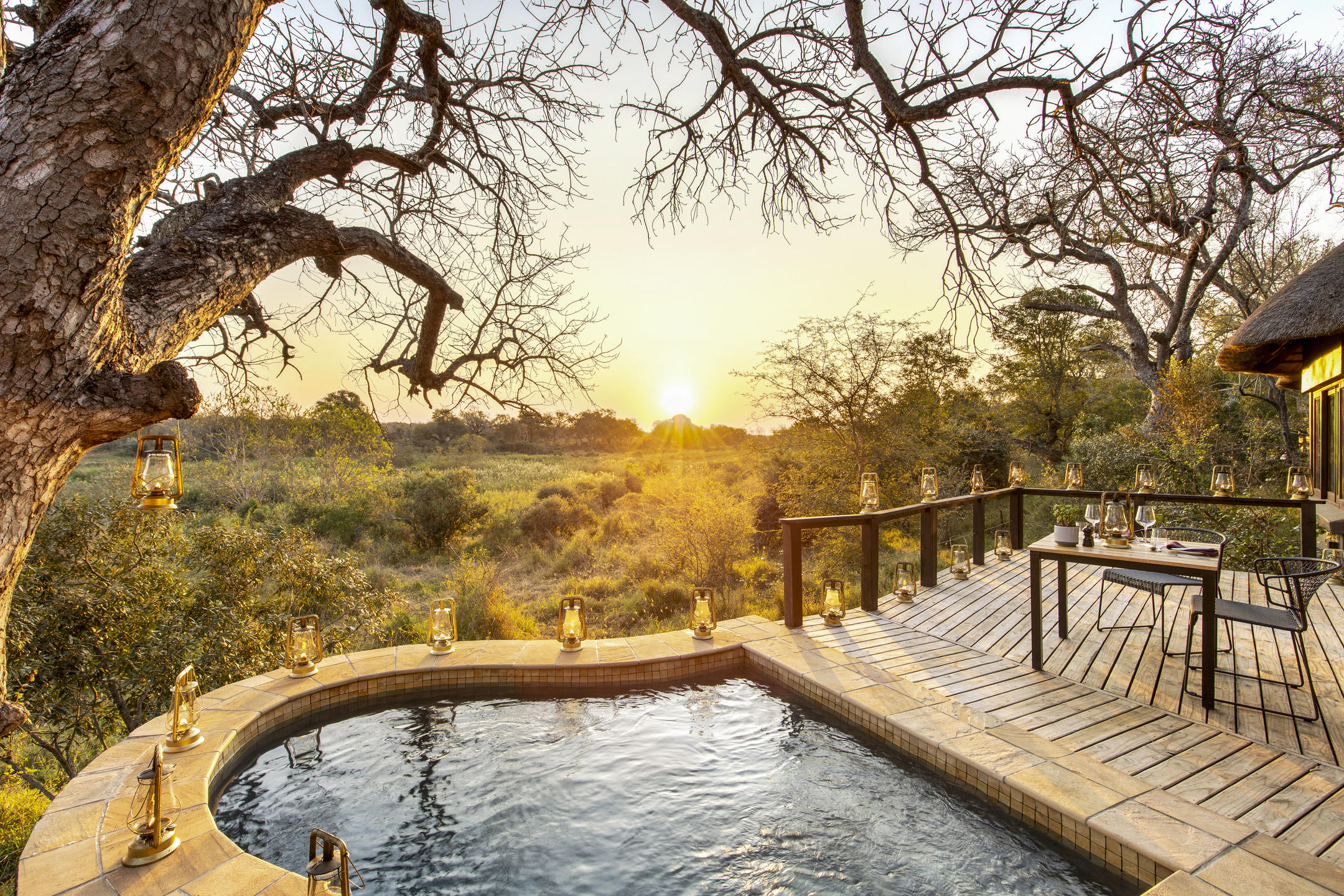 Kruger & Sabi Sand Safari Guide: South Africa's Premier Big Five Region
