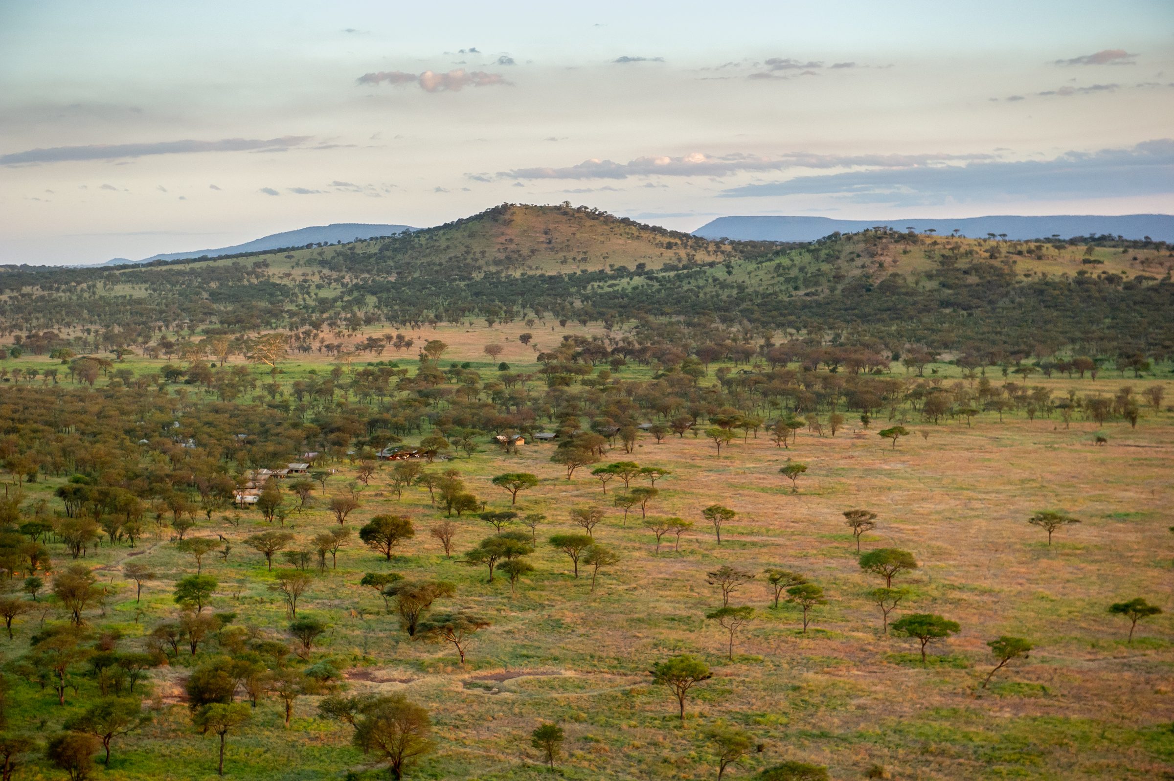 Serengeti vs Kruger: Which Safari Is Right for You?
