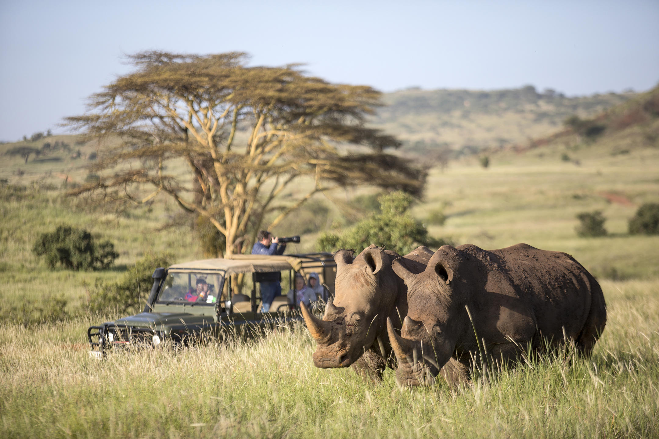 Laikipia Safari Guide: Kenya's Conservancy Heartland