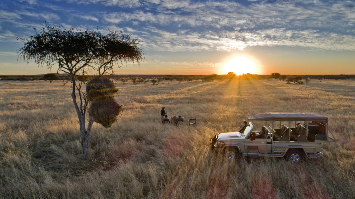 Safari vehicle in golden savanna at sunset.