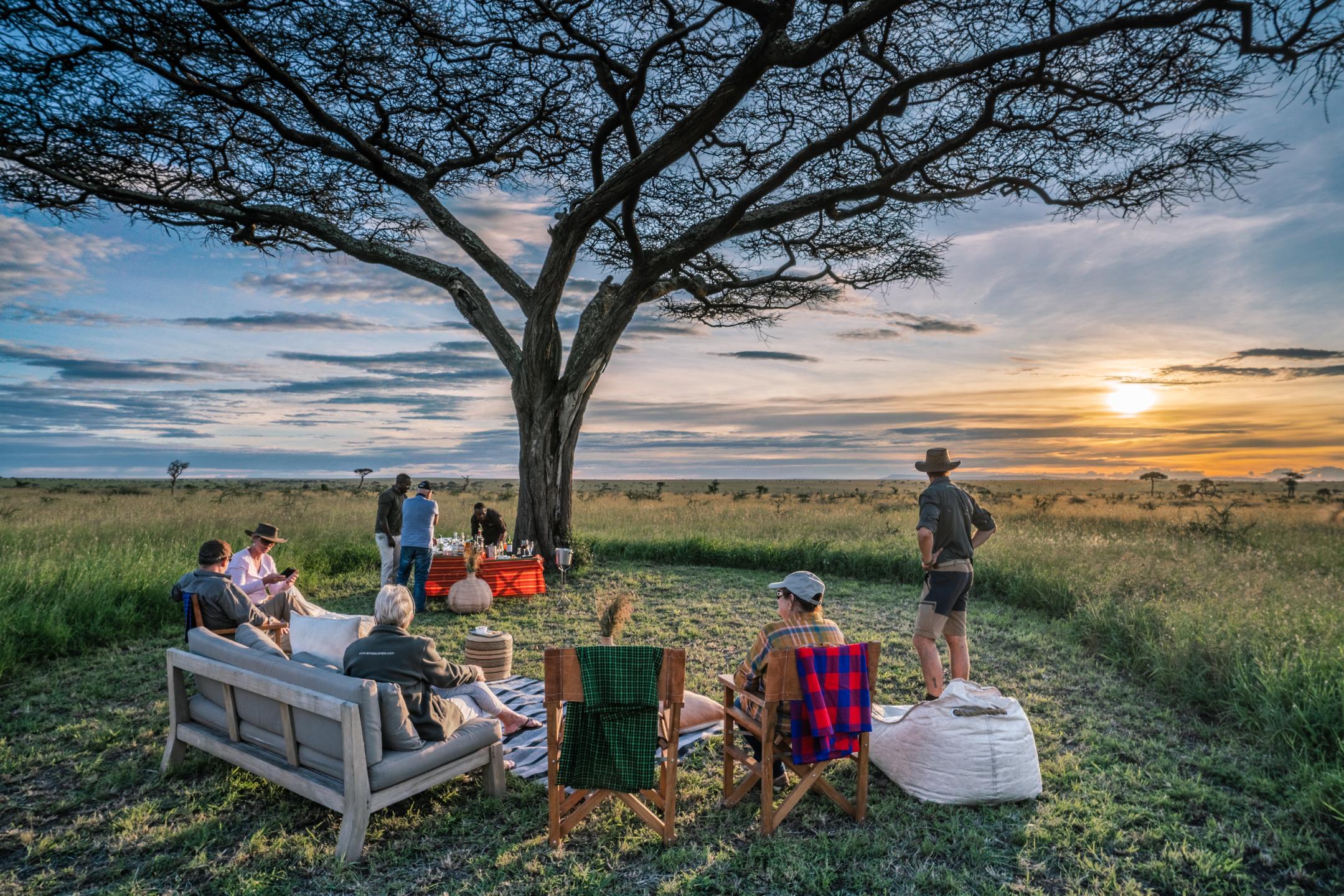 Tanzania Safari and Zanzibar: The Perfect 2-Week Itinerary