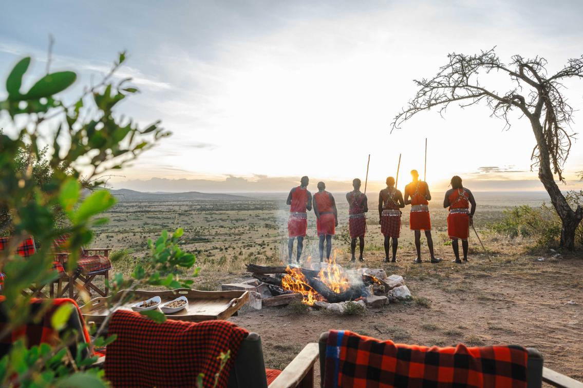 Embark on Thrilling Safari Adventures: A Journey into the Wild