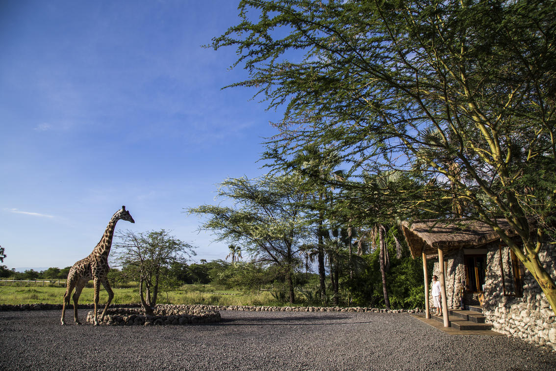 East Africa Tours and Safaris: A Comprehensive Guide