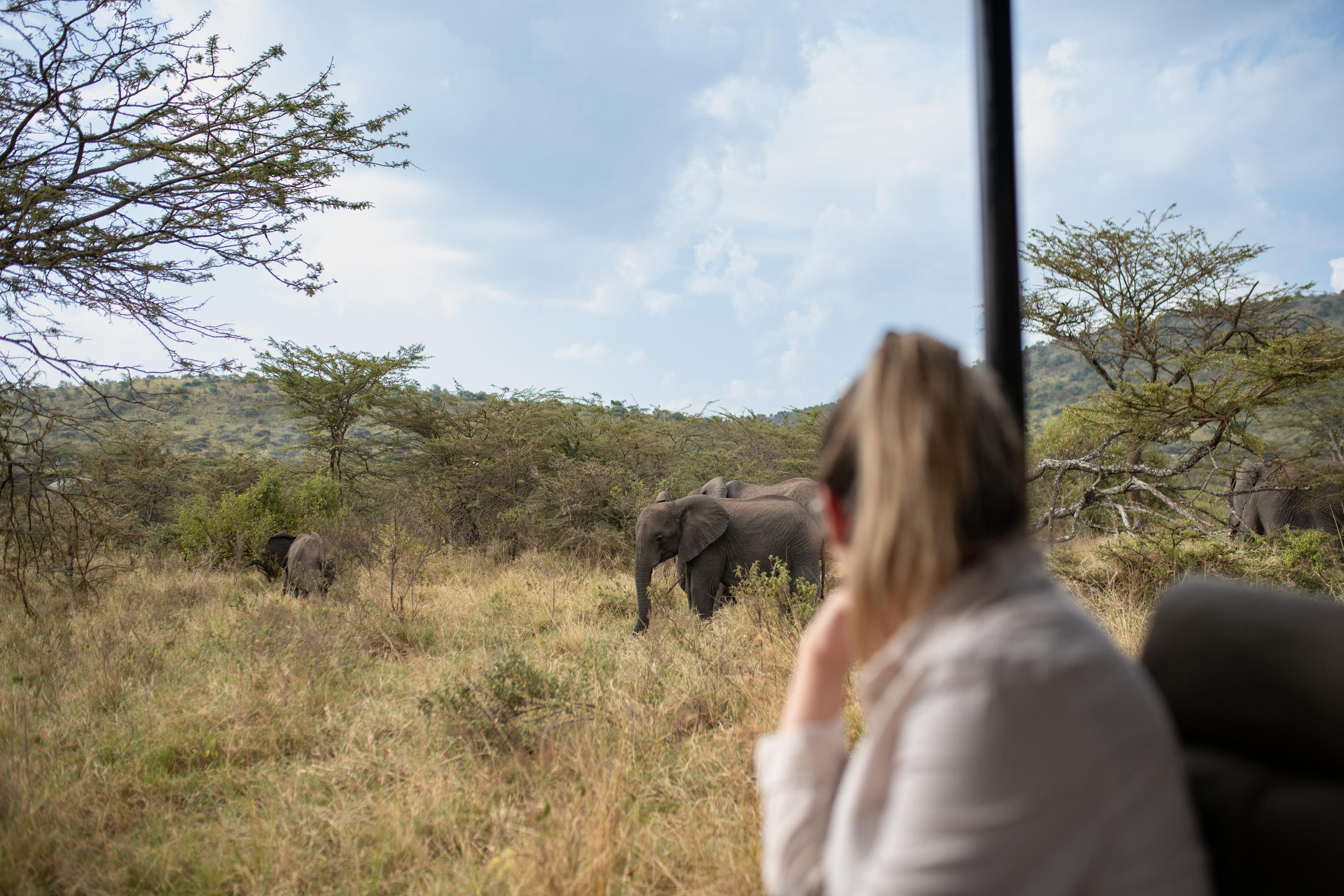 What Actually Makes a “Good Safari” (It’s Not the Lodge)