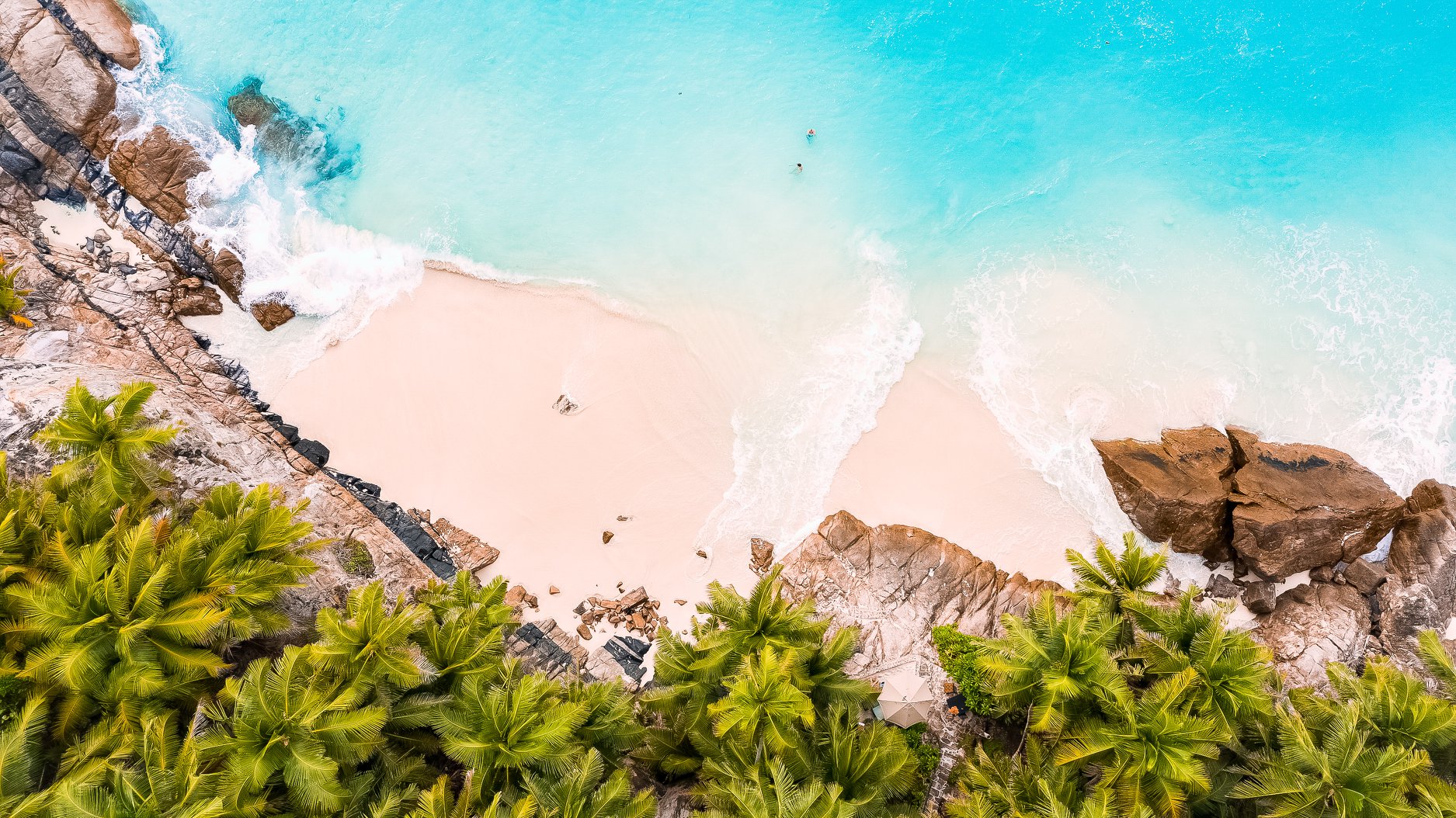The Best Tanzania Safari and Beach Packages Reviewed