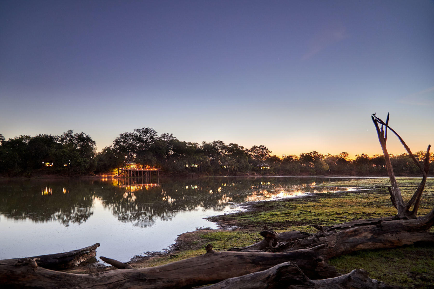 Safari Serenity: South Luangwa's Wildlife Odyssey