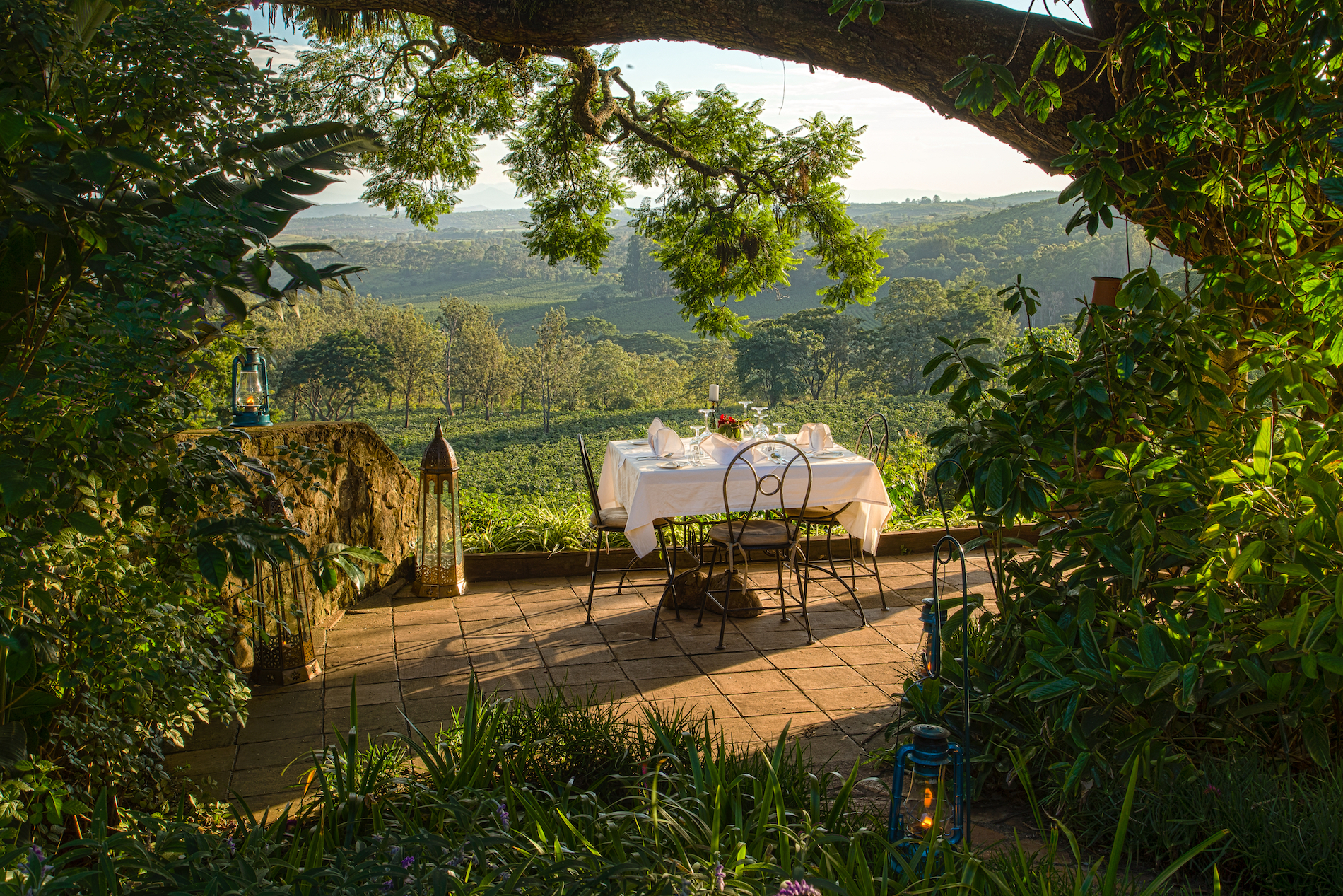 Ngorongoro, Serengeti and Rwanda Gorilla Safari