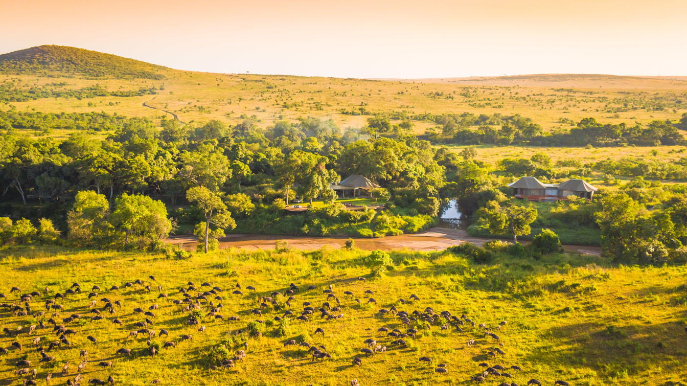 10 Day - Serengeti & Masai Mara Migration Safari