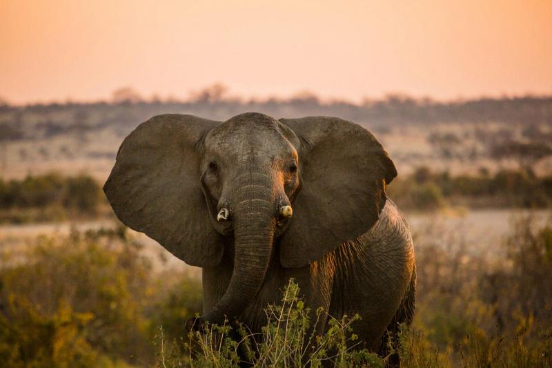 3 Nights – Karatu 