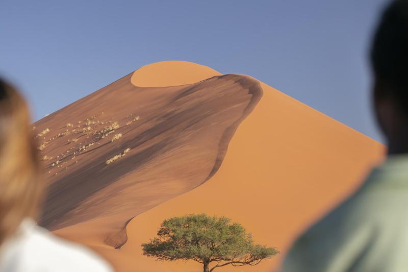 Days 9-11: Majestic Desert Landscapes – 2 Nights