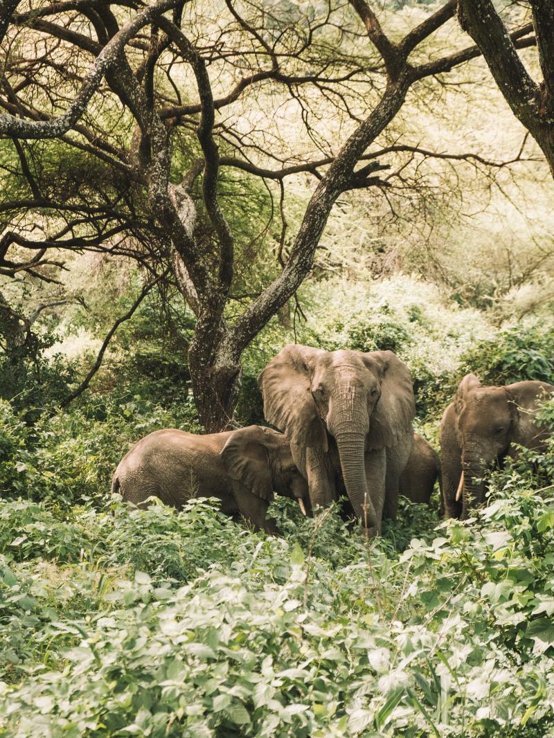 2 Nights – Karatu