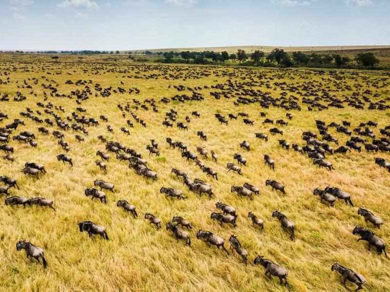 3 Nights – Southern Serengti
