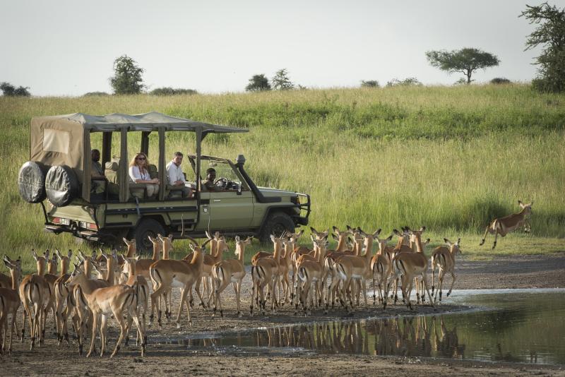 Serengeti National Park (3 Nights)