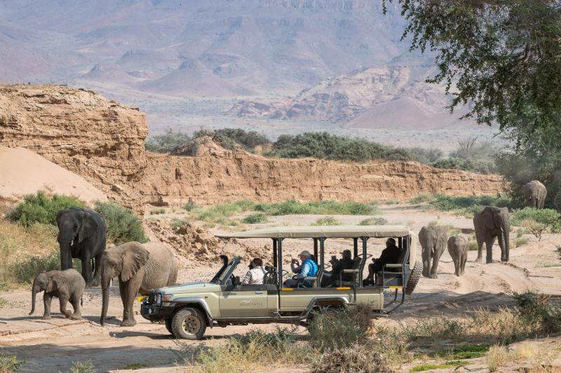 Days 4-5: Immersed in Damaraland | 2 Nights