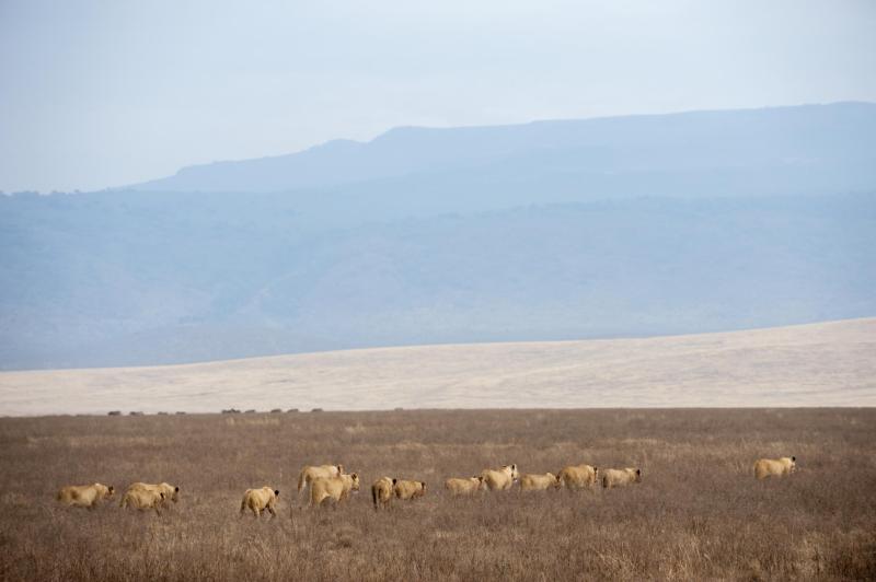 Days 5–7 - Ngorongoro Crater, Olduvai Gorge & Serengeti