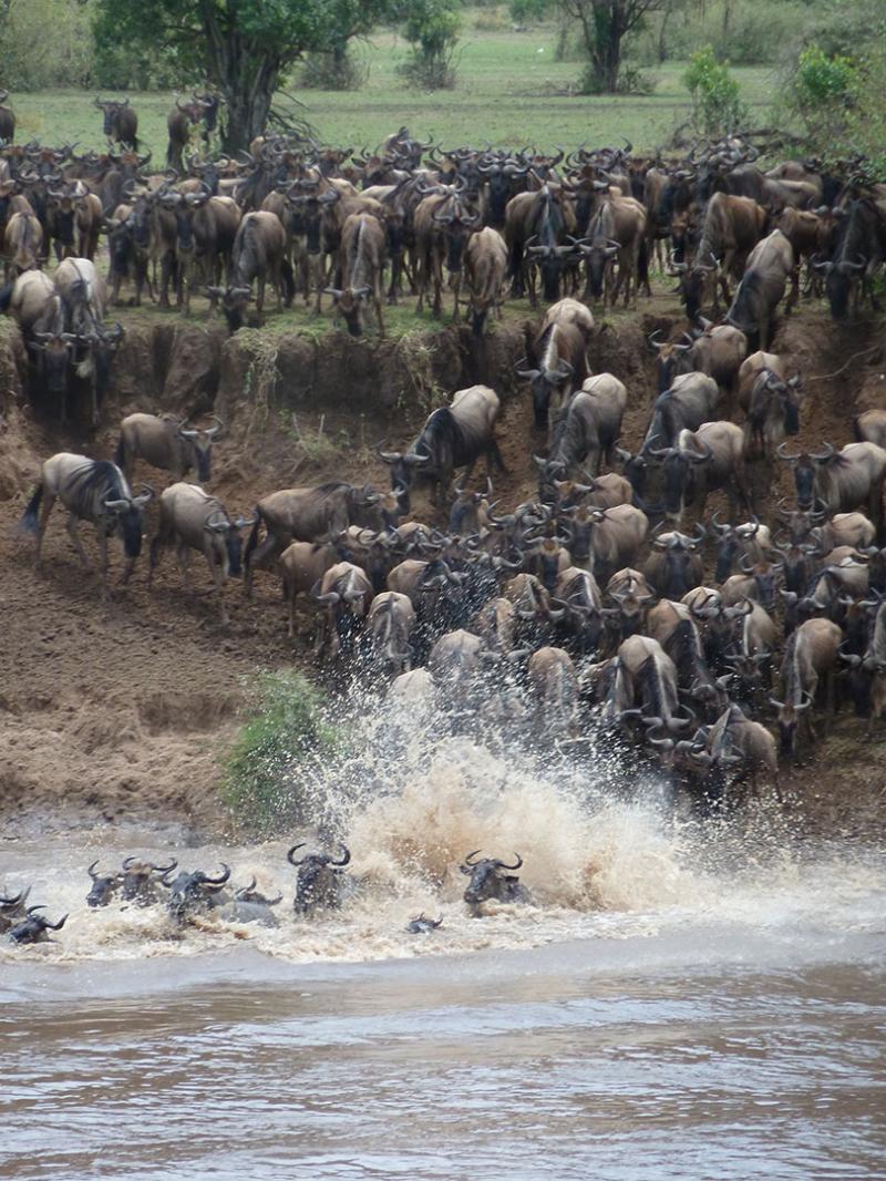2 Nights – West Serengeti