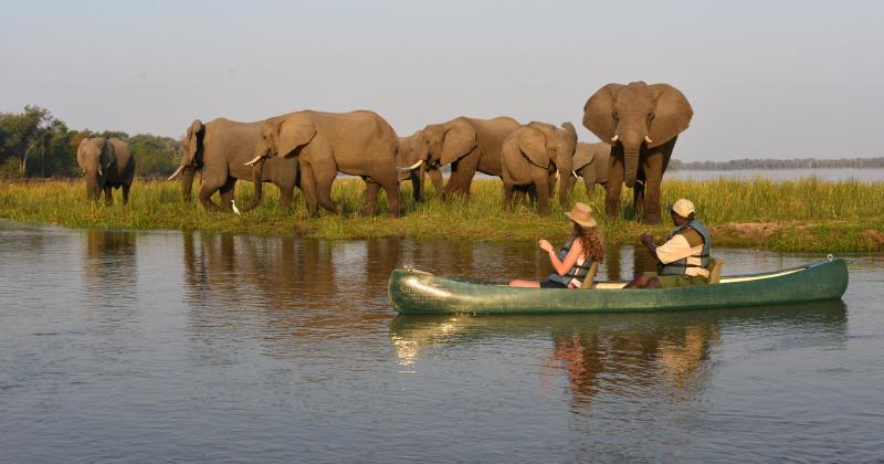 Day 11: Farewell to Africa