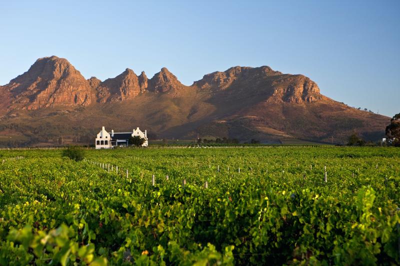 Day 5-6: Relaxing in Stellenbosch | 1 Night