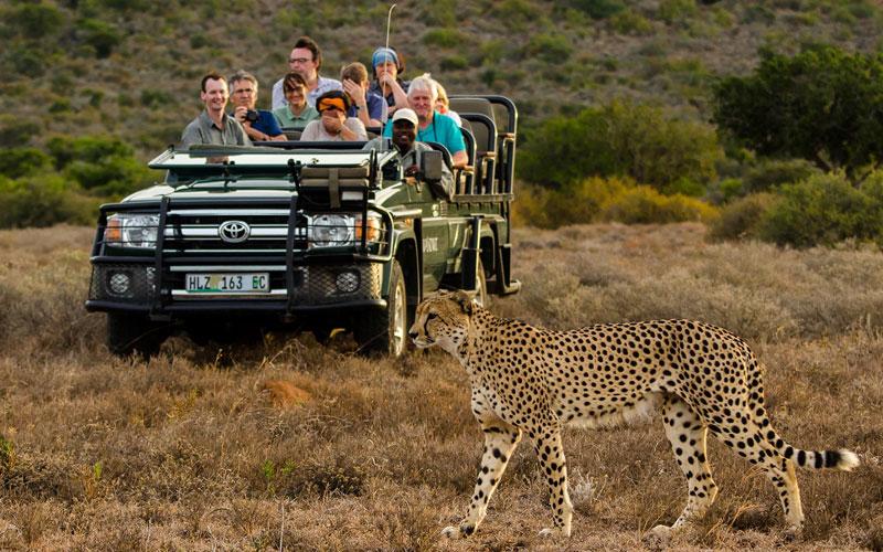 Days 11-13: Search for the Big 5 | 3 Nights 
