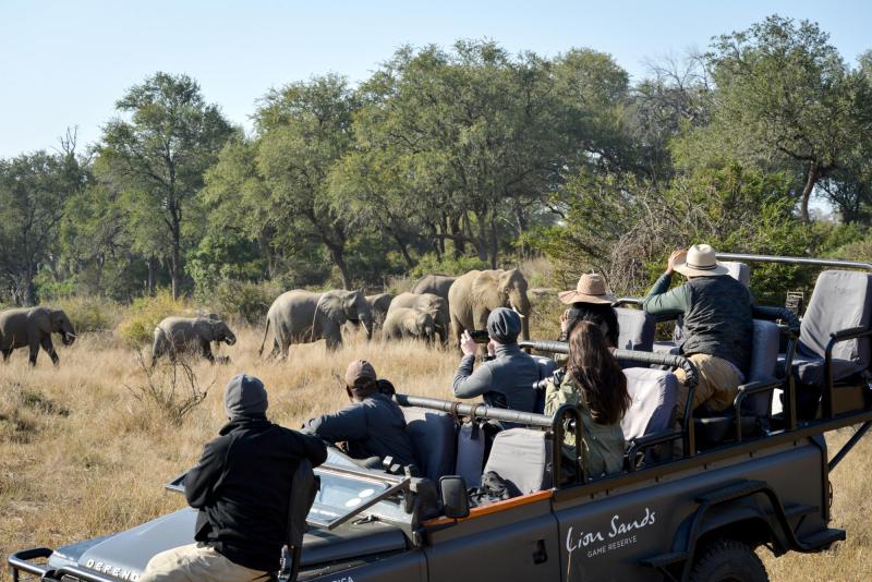 Sabi Sand Game Reserve - 3 Nights of Wilderness