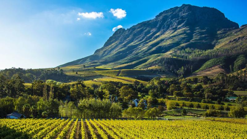 Days 5-7: Fine wine & dining in the Cape Winelands | 3 Nights