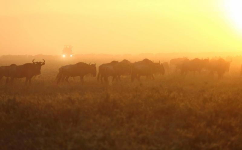 3 Nights – North Serengeti National Park 