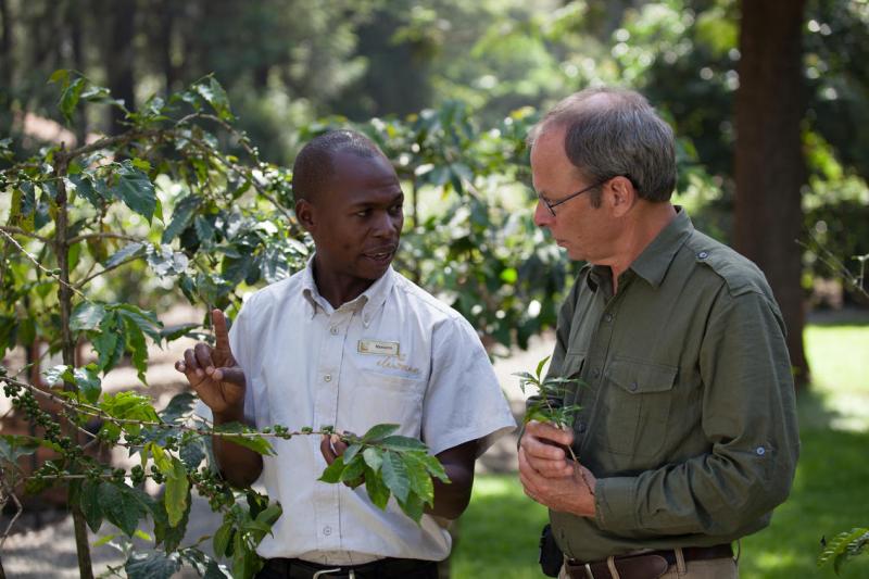Day 1: Farming Coffee in Arusha | 1 Night