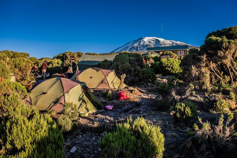 Day 7 -  Millennium Camp (3,820 m) — Mweka Gate (1,650 m)   