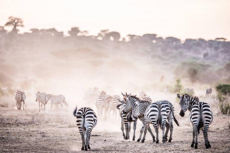 2 Nights - Arusha