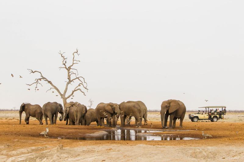 Days 4-5: Enchanting Chobe Exploration | 2 Nights