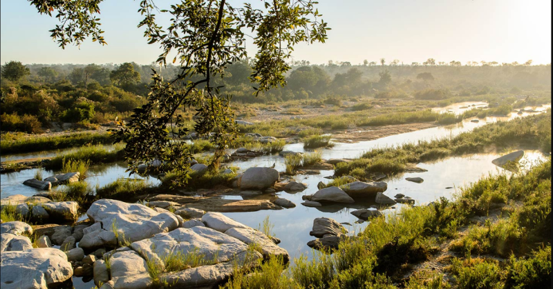 Day 5: Making your way to the Sabi Sand | 3 Nights