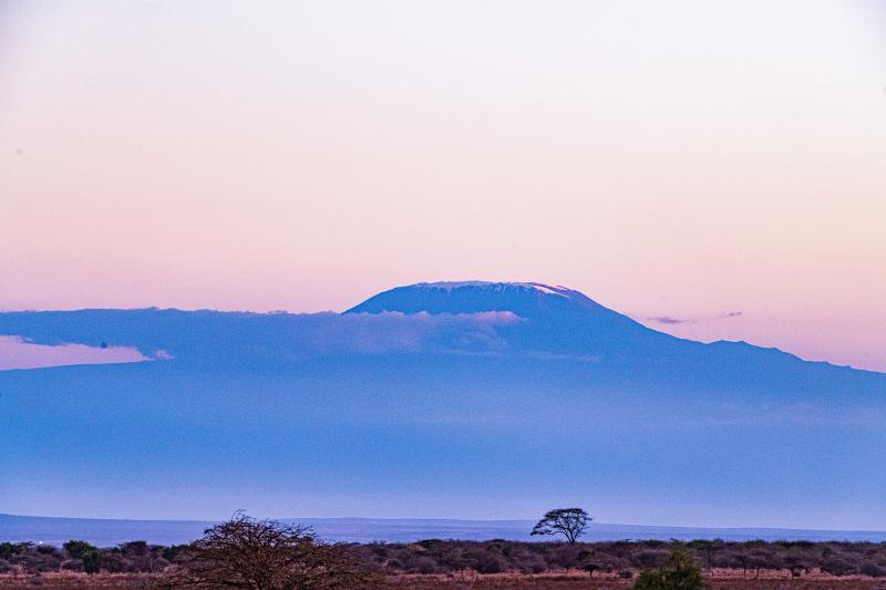 Day 7 - Millennium Camp (3,820 m) — Mweka Gate (1,650 m)