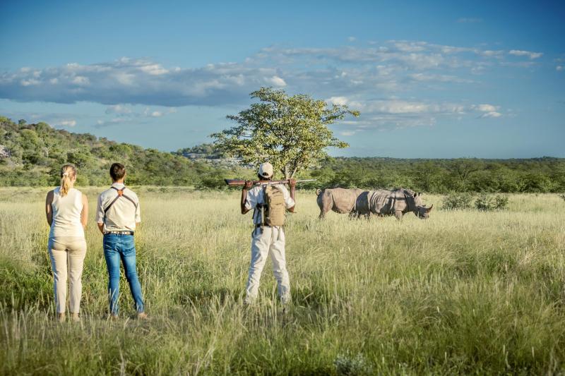 Days 1-2: Etosha's Grandeur | 2 Nights