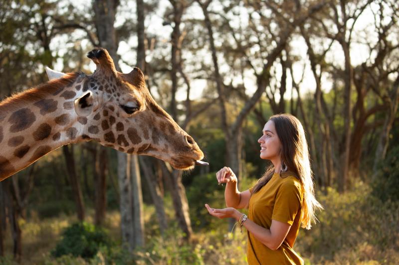 1 Night - Giraffe Manor | Nairobi