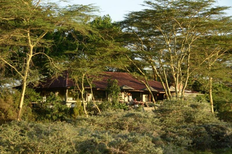 Day 1  – Moshi Kilimanjaro 