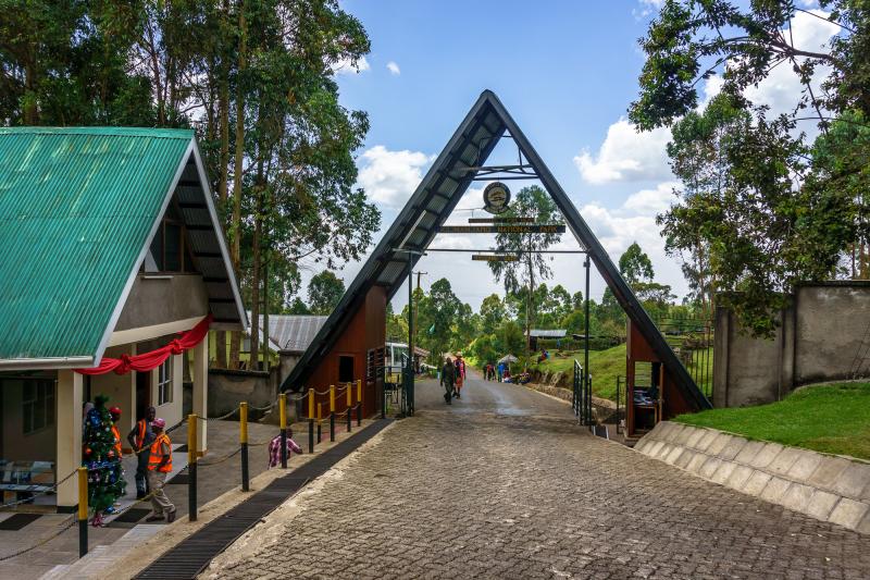 Day 2 - Machame Gate (1,800 m) — Machame Camp (3,010 m) 