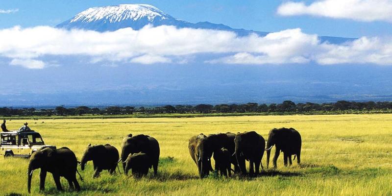 Day 2-3: Amboseli National Park