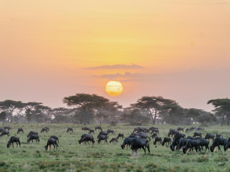 Tarangire National Park (2 Nights)