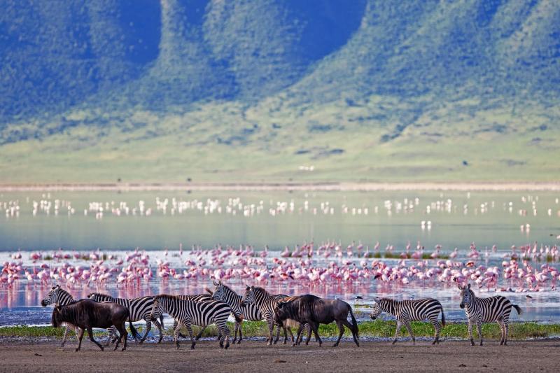 Lake Manyara & Ngorongoro Crater (2 Nights)
