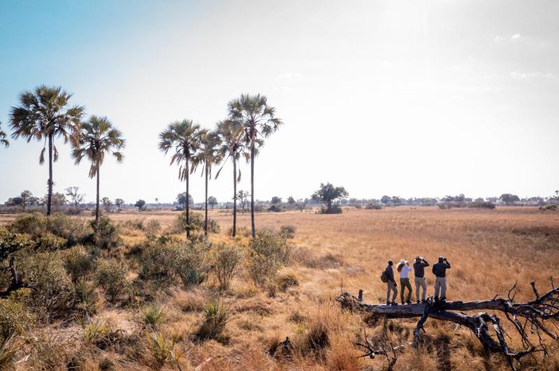 Days 3-5: Embracing the Okavango Delta | 3 Nights